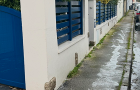Nettoyage de muret